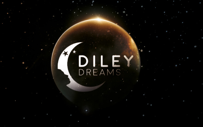 Laatste bedrijfscasus over DILEY-DROMEN - Stop in Dimmable-Schemer aan Dawn Night Light